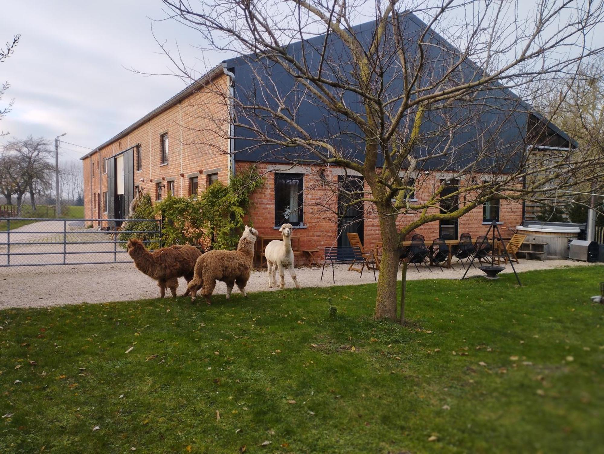 De Smishoeve Met Kinderpret, Dieren En Wellness Heers Exterior photo