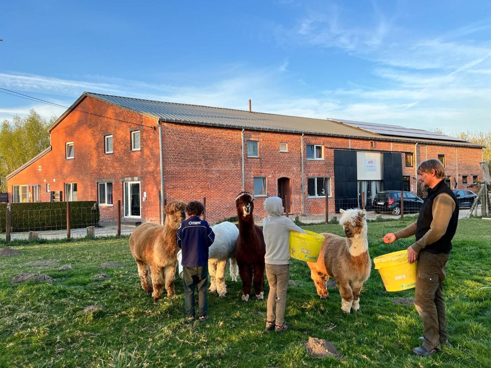 De Smishoeve Met Kinderpret, Dieren En Wellness Heers Exterior photo