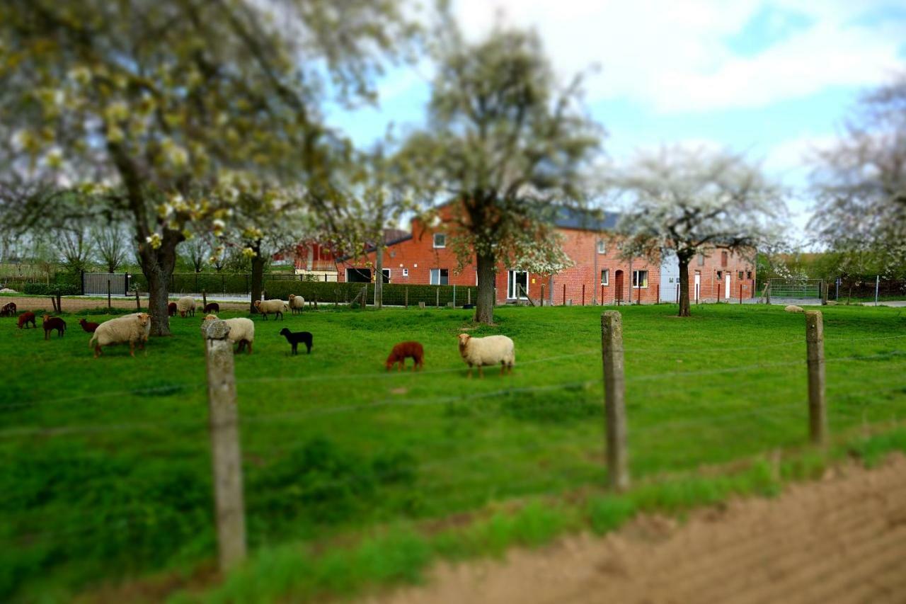De Smishoeve Met Kinderpret, Dieren En Wellness Heers Exterior photo